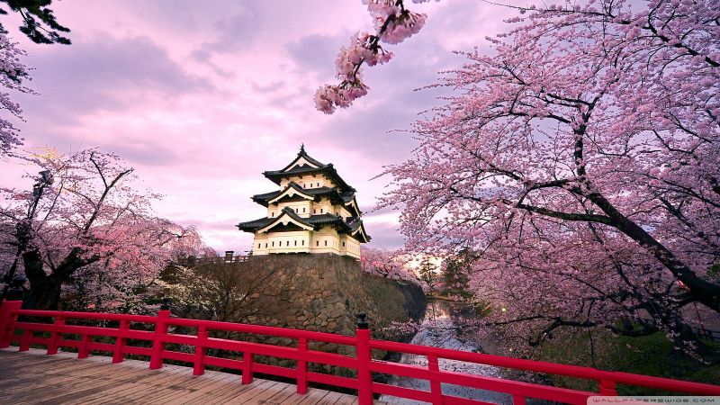 Lâu đài Hirosaki Lâu đài Hirosaki